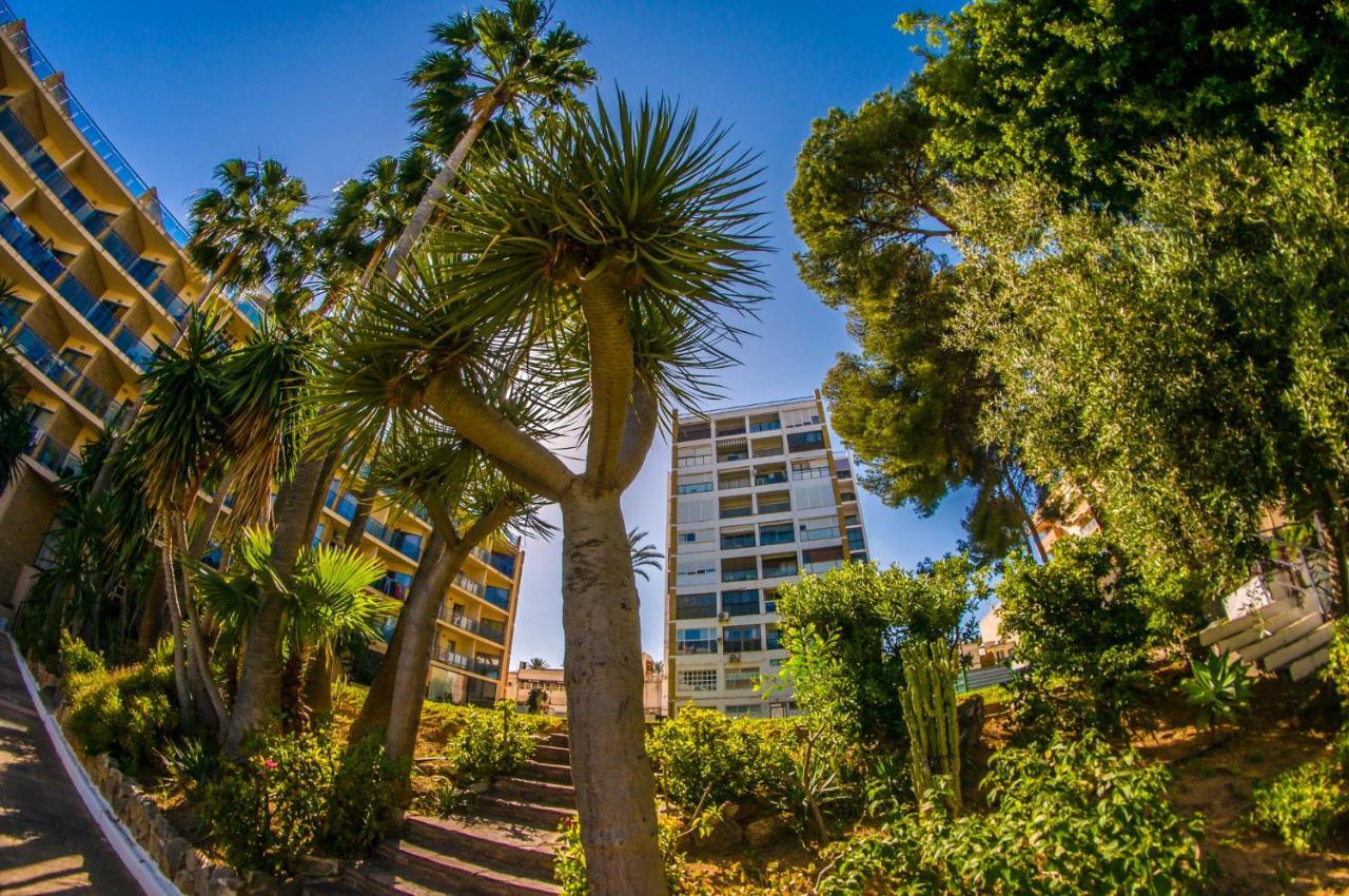 Alay Apartment & Pool 2 Bedroom ベナルマデナ エクステリア 写真